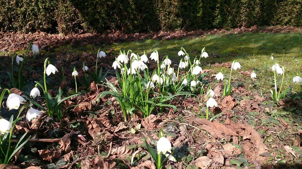 Der Platengarten Ansbach Germany